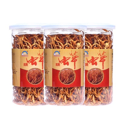 蛹虫草系列